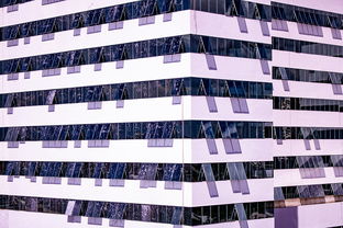 开云体育官网在线-体育新闻中心建设体育数字内容版权保护体系，体育数据新闻